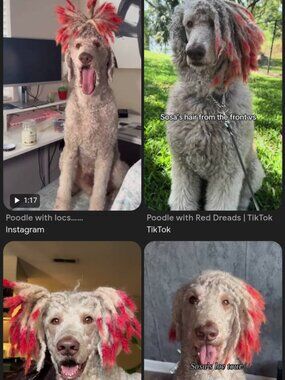 I tried to OD, but I keep on waking up. Retry?